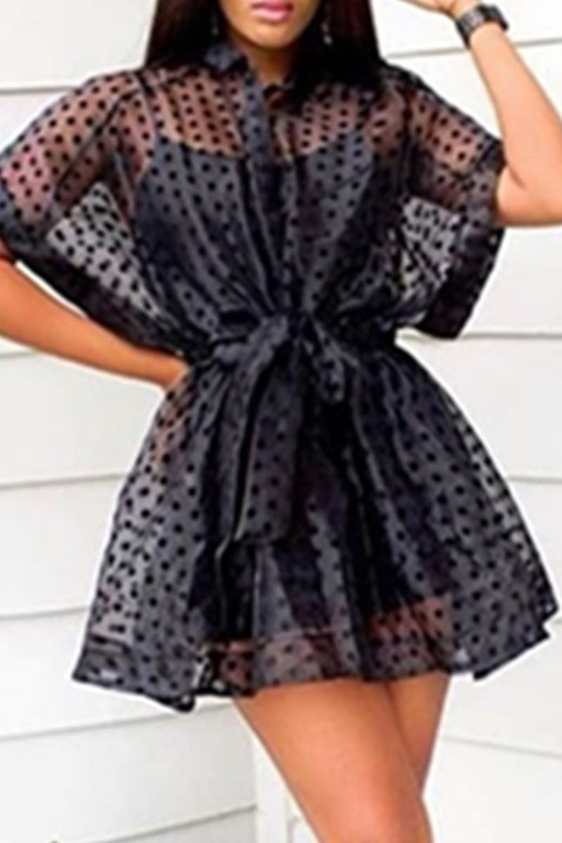 Sexy Print Split Joint Buckle See-through Turndown Collar Short Sleeve Two Pieces
